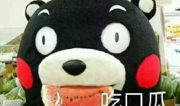 形容吃瓜的单词,探寻各式吃瓜词汇的趣味之旅