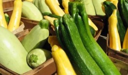 cuber 吃瓜,瓜界新秀，揭秘吃瓜界的风云变幻