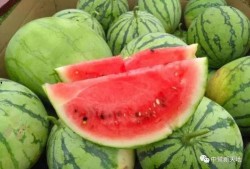 上安吃瓜,揭秘网络热点的背后故事