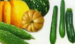 唱吃瓜,揭秘娱乐圈的甜蜜与苦涩