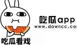 吃瓜网红小说,网红小说中的娱乐圈风云