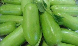 直播吃蒲瓜,一场别开生面的蒲瓜美食之旅