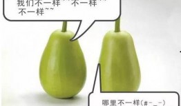 上安吃瓜,揭秘网络热点的背后故事