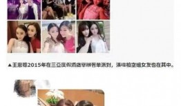 吃瓜网红小说,网红小说中的娱乐圈风云