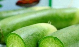 吃瓜的青萝卜,探寻夏日消暑美食的奥秘