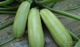 玉瓜可以过年吃吗农村,农村过年必吃的吉祥食材