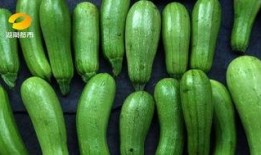 什么瓜不能种植熟了吃,种植与食用安全指南