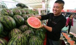 地瓜网吃瓜网址,吃瓜群众的聚集地，畅享网络娱乐盛宴