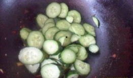 吃毛瓜视频大全,趣味横生的美食探索之旅