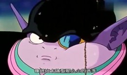 兔兔吃瓜娱乐,娱乐无限，揭秘娱乐圈幕后趣事