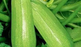 537吃瓜,揭秘娱乐圈背后的那些事儿