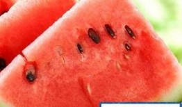 吃瓜会变胖吗,吃瓜真的会导致体重增加？揭秘瓜果热量与体重关系