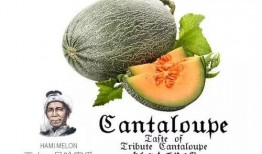 夏天吃瓜群众推荐,瓜果飘香，清凉一夏推荐指南