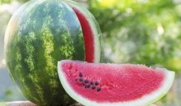 不喜欢吃瓜,拥抱简单生活