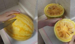 五八吃瓜黄色视频,一场关于黄色视频的舆论风暴